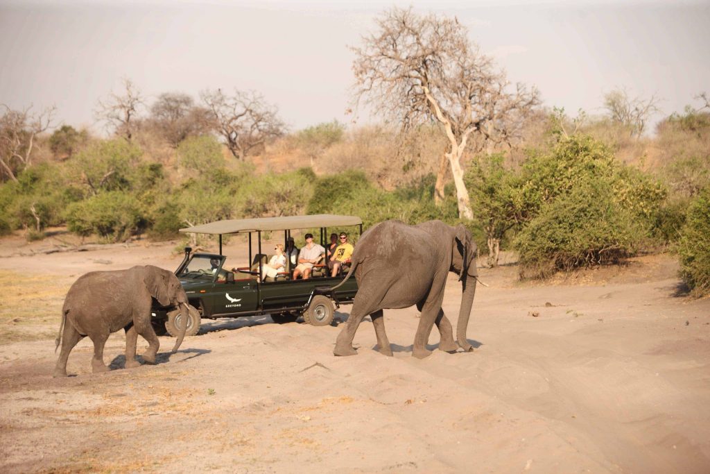 Chobe under Canvas Safari Botswana