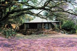 Reilly's Rock Hilltop Lodge Safari Südafrika