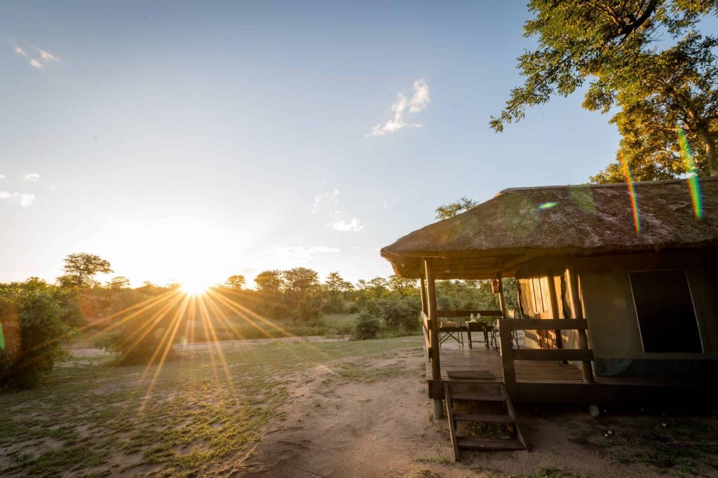 Shindzela Tented Camp Safari Südafrika