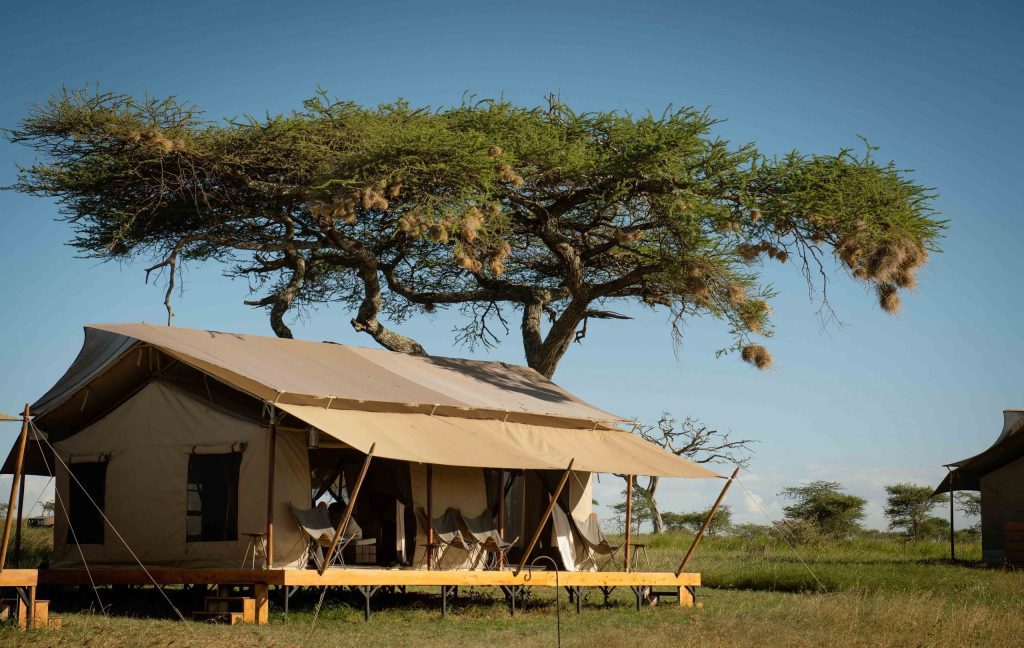 Siringit Serengeti Camp Tansania