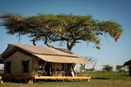 Siringit Serengeti Camp Tansania