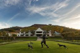 Leeu Wine Estate Südafrika