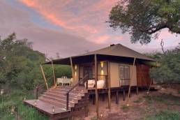 Ngala Tented Safari Camp Südafrika