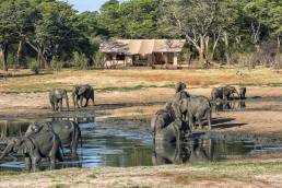 Sambesi National Park Simbabwe