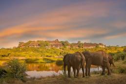 Victoria Falls Safari Lodge Simbabwe