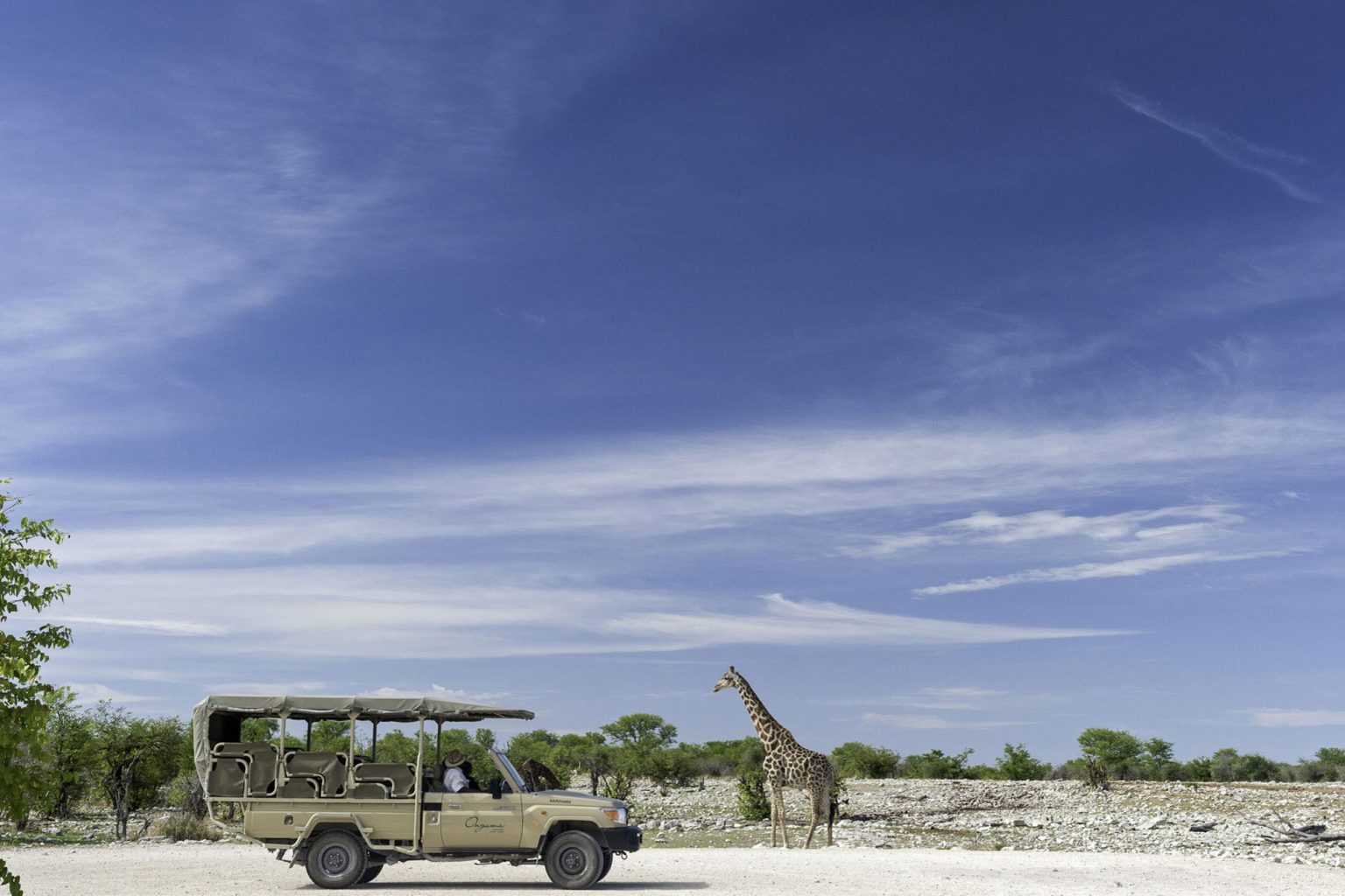 Etosha National Park Namibia