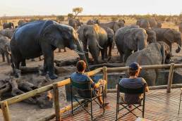 Hwange National Park Simbabwe