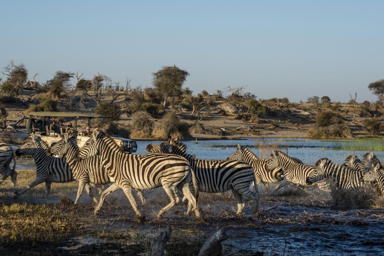 Makgadikgadi Pans National Park Botswana