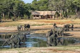 Sambesi National Park Simbabwe
